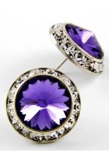 Horse Show Post Earrings -Tanzanite 3/4"