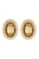 Horse Show Post Earrings - Gold Topaz