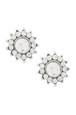 Horse Show Post Earrings - CLEAR 3/8"